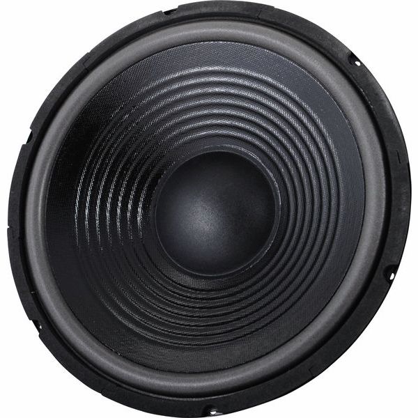 the box 12" Speaker for TT305-H