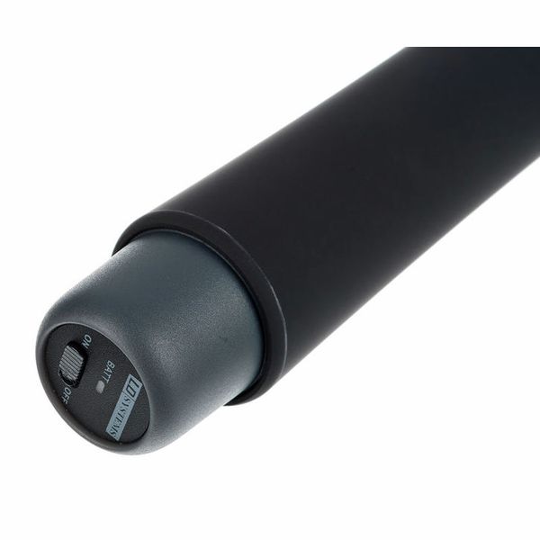 LD Systems Road Buddy 10 B6