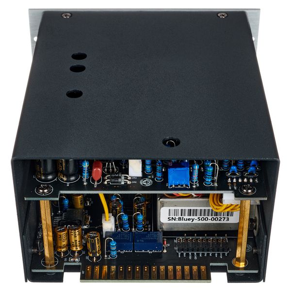 Black Lion Audio Bluey-500