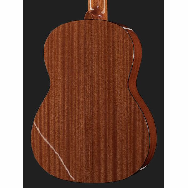 Gewa Pro Arte GC210A