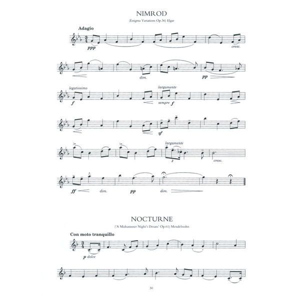 Music Sales 100 Classical Themes Violin