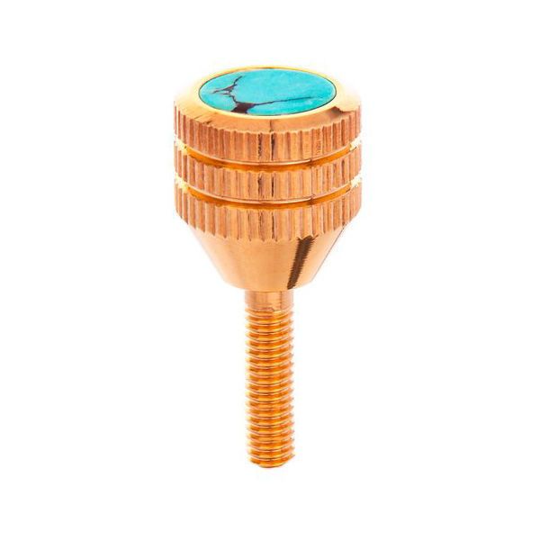 KGUMusic Neck Screw Selmer 24K