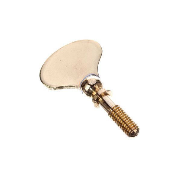 Thomann Lyre Wing Screw M4 YB Big