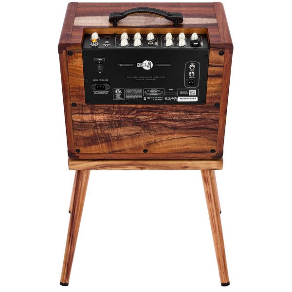 Taylor Koa Circa 74 Amp + Stand