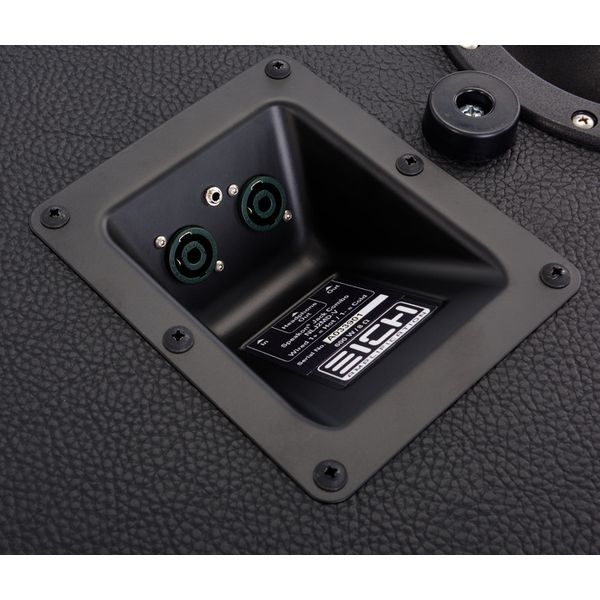 Eich Amplification TB250 Sub-Bass Bundle