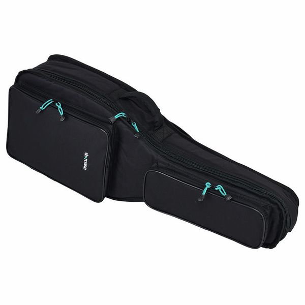 Harley Benton Delta Blues T Set 1