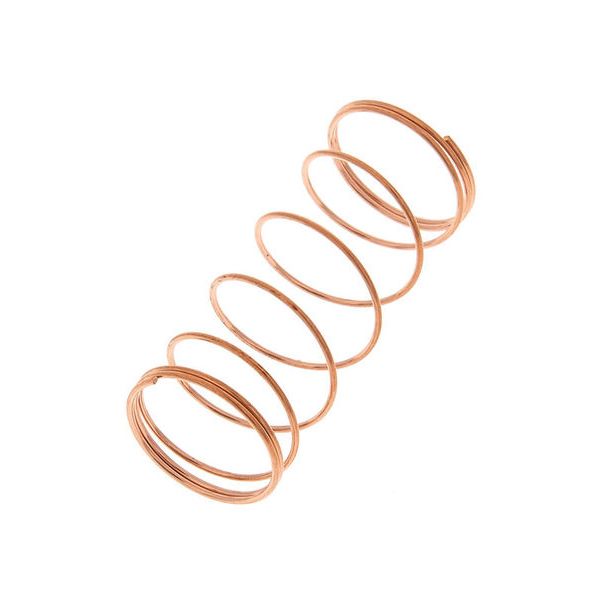 Thomann Valve Spring A376 15,8x35,5