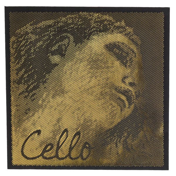 Pirastro Evah Pirazzi Gold Cello C Str.