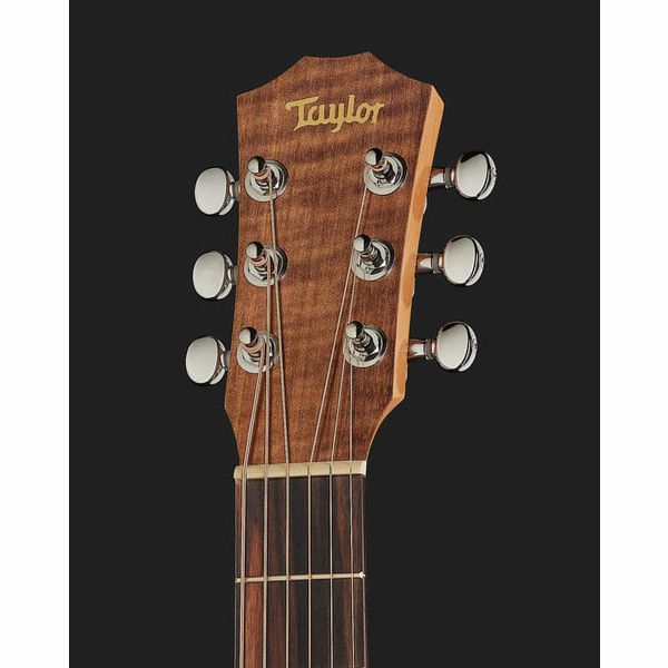 Taylor Baby Mahogany BT2