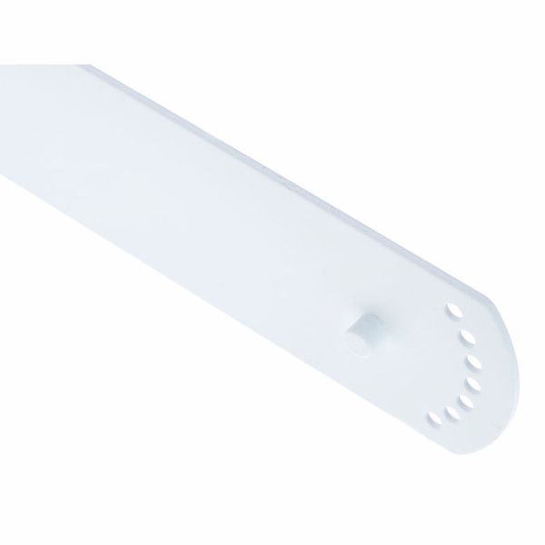 Bose Professional DesignMax DM8S white