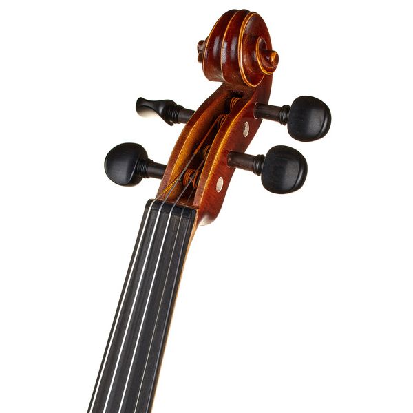 Gewa Allegro Violin Set 4/4 OC CB