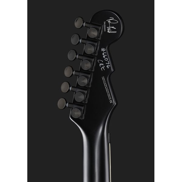 Reverend Vernon Reid Totem Talisman