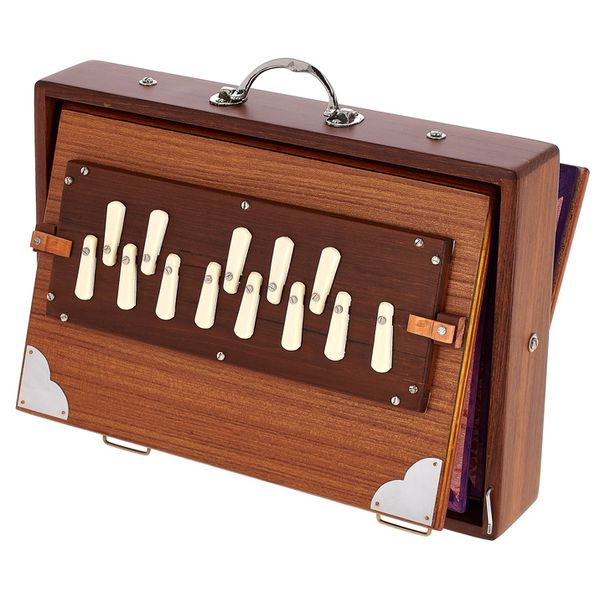 Thomann Nataraj Prof. Shruti C-C Small