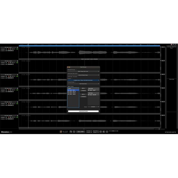 Synchro Arts Revoice Pro 5 UG Revoice Pro 4