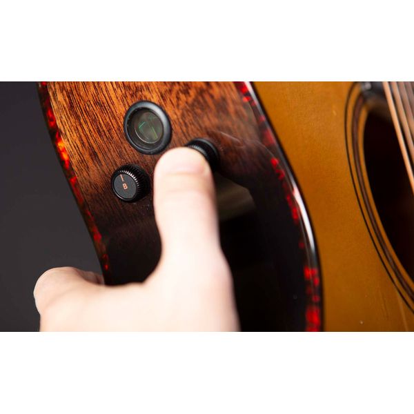 Breedlove Wildwood Pro Drdnght Conc CE