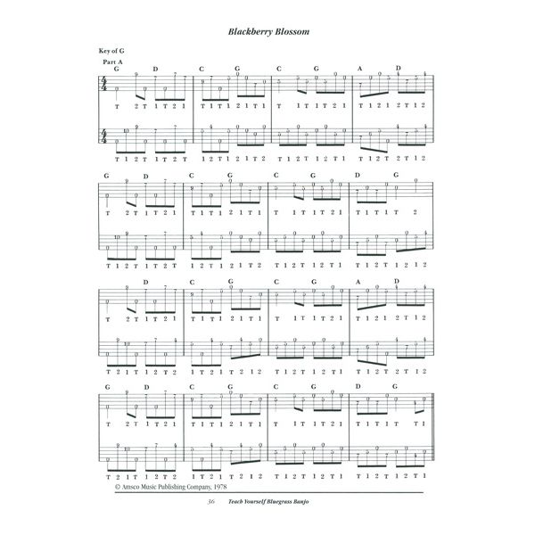 Oak Publications Teach Yourself Bluegrass Banjo