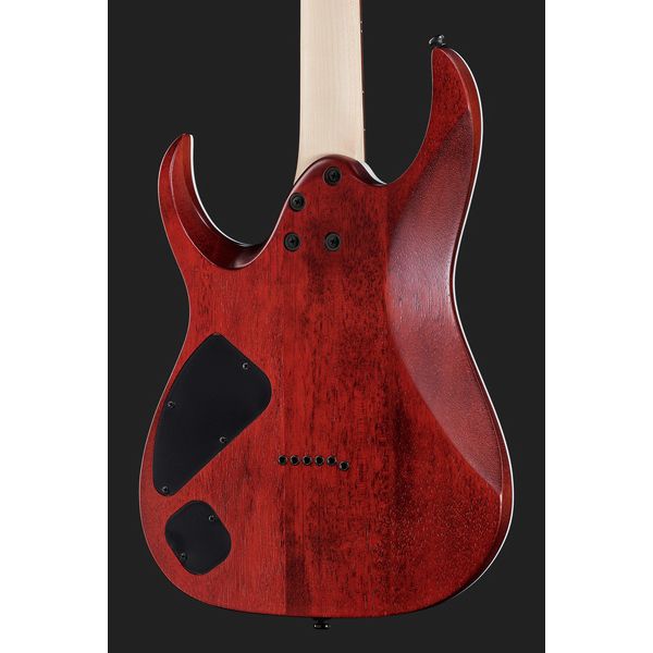 Ibanez RGA42FM-TGF