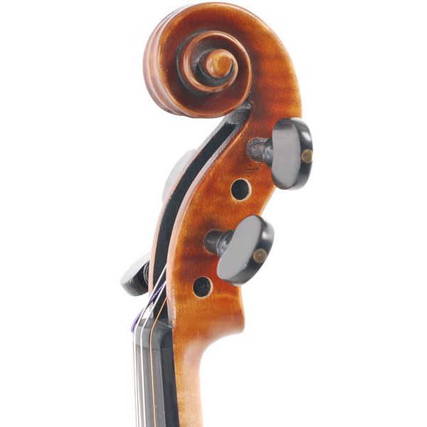 Karl H&ouml;fner H225-CB-V Carlo Bergonzi