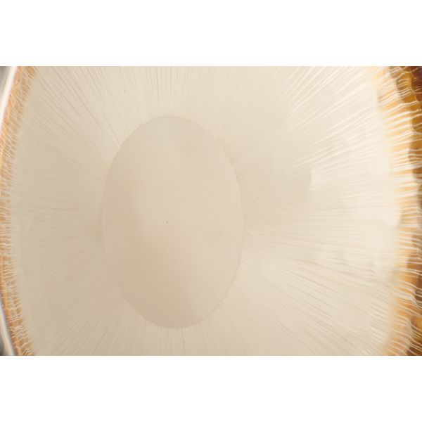 Thomann 32"/81cm Planet Gong Nibiru