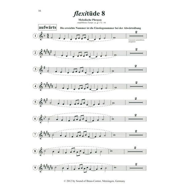 Flexibrass Flexitüden