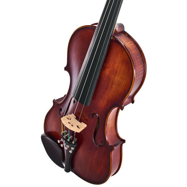 Roth & Junius Europe Orchestra Violin Set GE