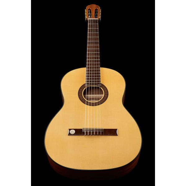 Gewa Pro Arte GC210A