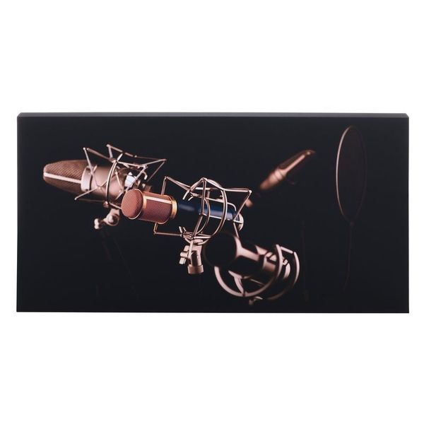 t.akustik Print Panel Mic Check