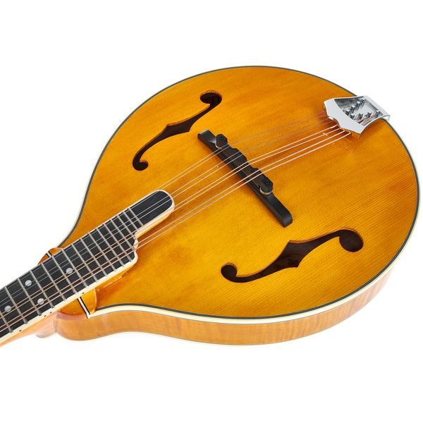 Richwood RMA-110-VS A-Style