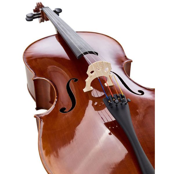 Gewa Maestro 6 Cello 7/8