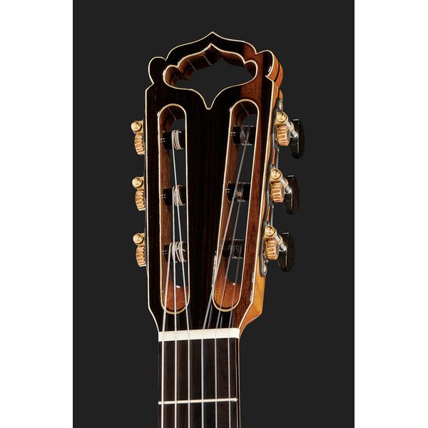 Hanika Fusion PC w/Pickup