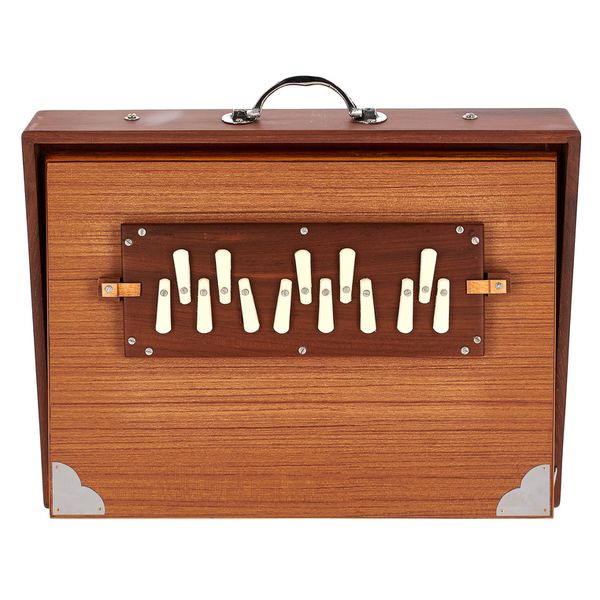 Thomann Nataraj Prof. Shruti Box G-G