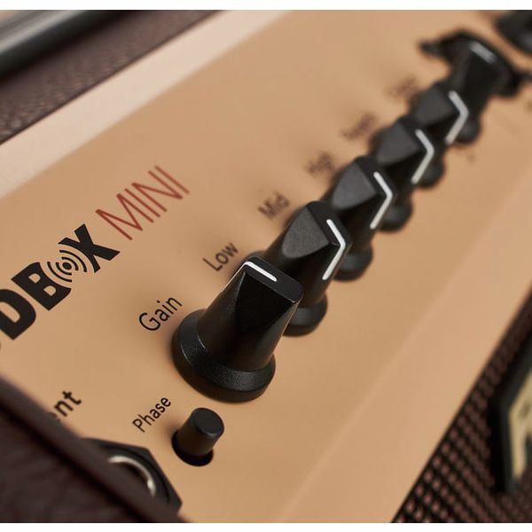 Fishman Loudbox Mini with Bluet Bundle