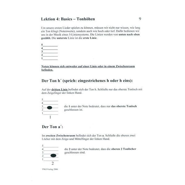 TWZ Nicole Joseph Tin Whistle Workshop 1