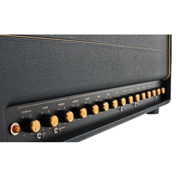 Friedman BE-100 Deluxe Head