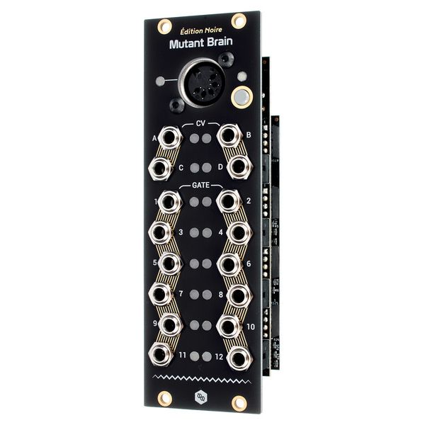 Hexinverter lectronique Mutant Brain