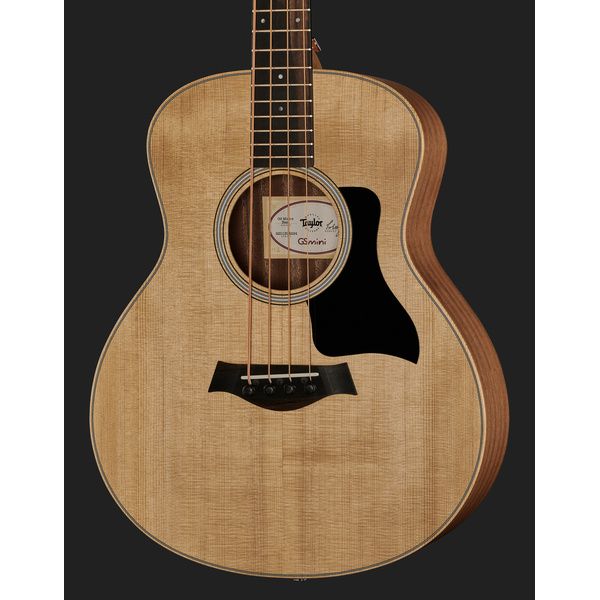 Taylor GS Mini-e Bass