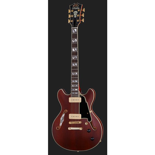 DAngelico Deluxe Mini DC Satin Trans Win