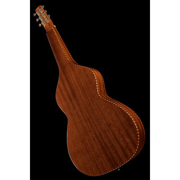 Gold Tone SM+ Weissenborn