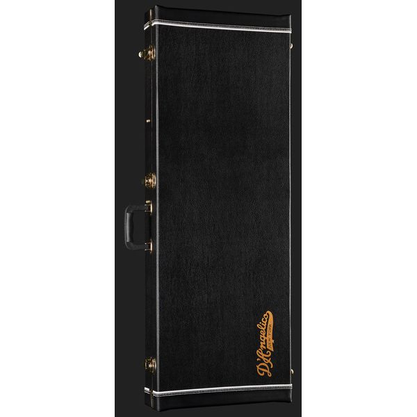 DAngelico Deluxe Bedford DG