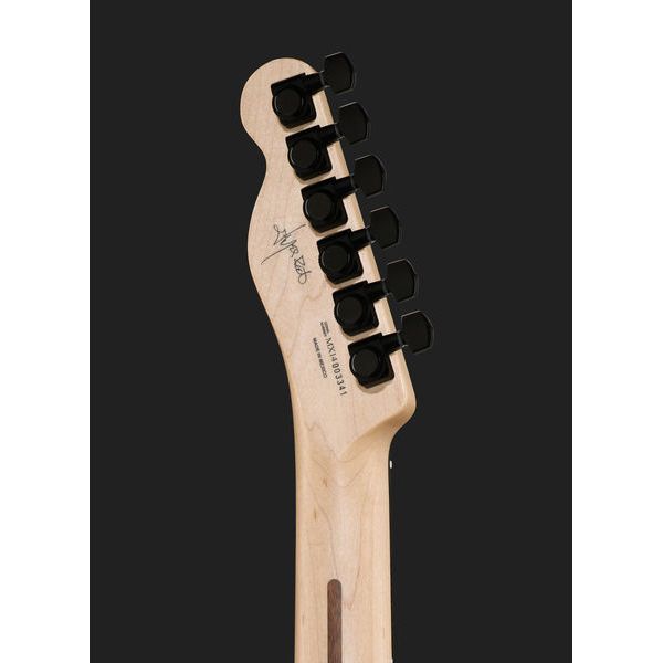 Fender Jim Root Telecaster Flat White