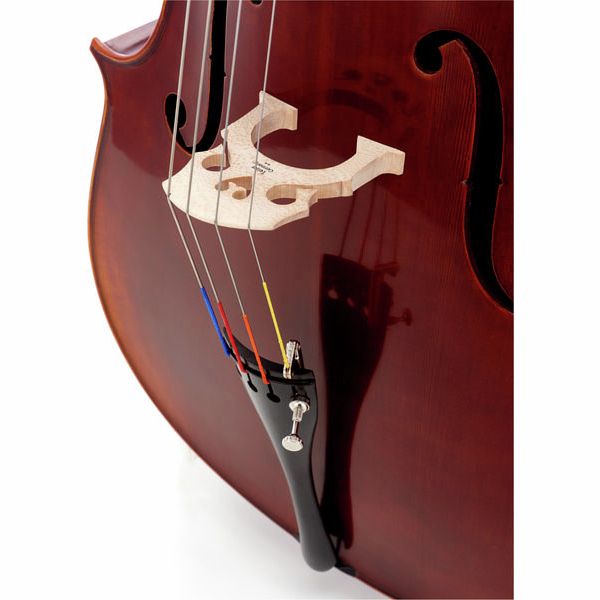 Gewa Maestro 6 Cello 4/4