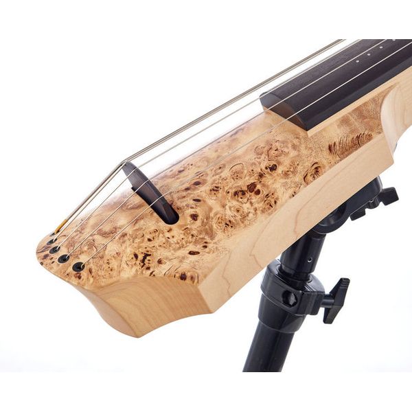 NS Design CR5-CO-PB Low F Cello