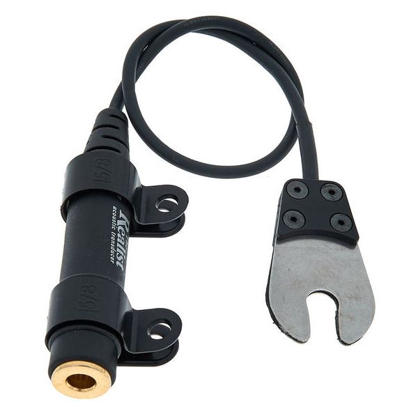 David Gage The Realist Regular Life Line