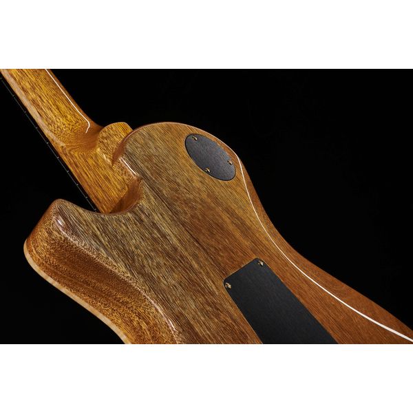 PRS Mark Tremonti CH 10 Top