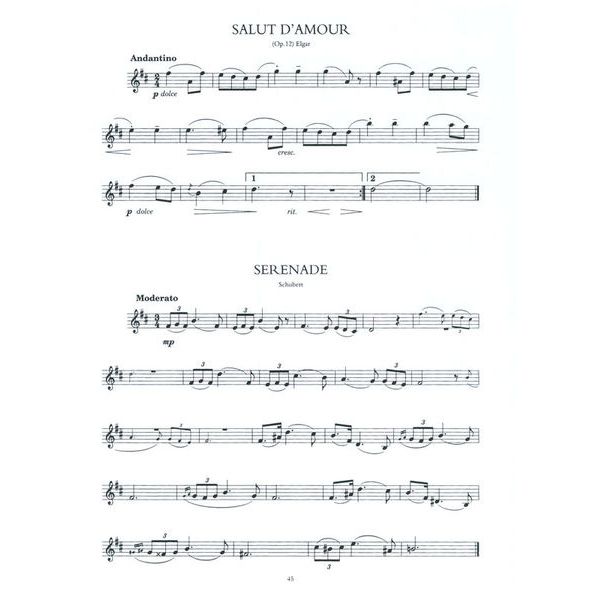 Music Sales 100 Classical Themes Violin