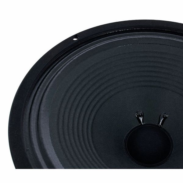 HESU Demon 12" 16 Ohms