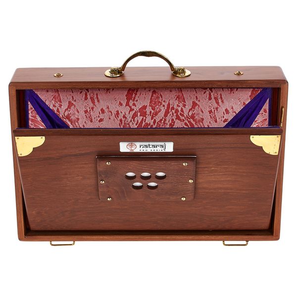 Thomann Nataraj Prof. Shruti Solid TW