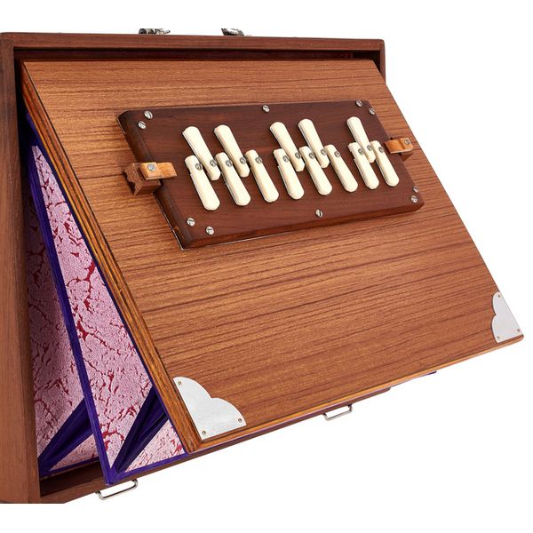 Thomann Nataraj Prof. Shruti Box G-G