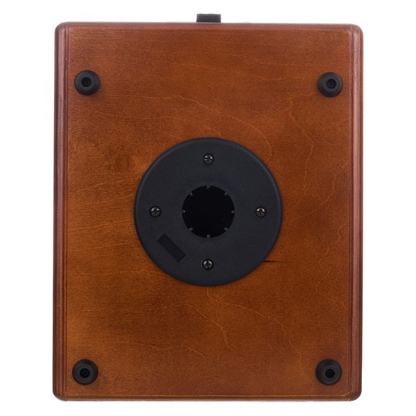 GRGuitar WDAC6 Acoustic Combo Wood