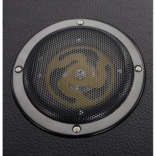 Eich Amplification TB250 Sub-Bass Bundle